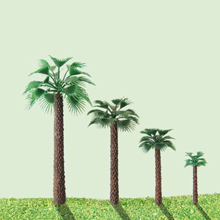 model trees